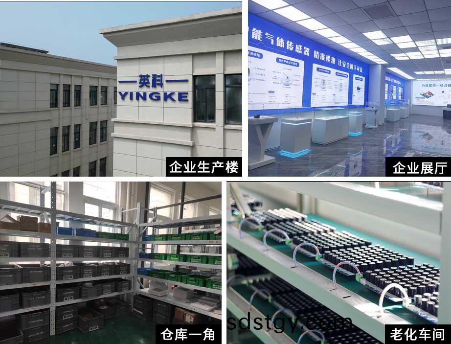 公司(si)槩述(shu)